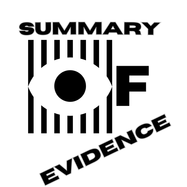 Summary of Evidence 